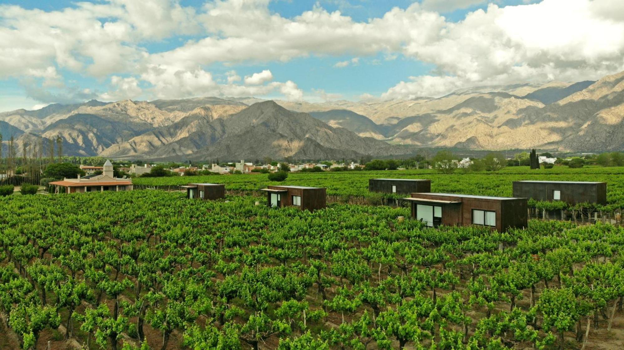 El Porvenir Wine Lodge Cafayate Esterno foto