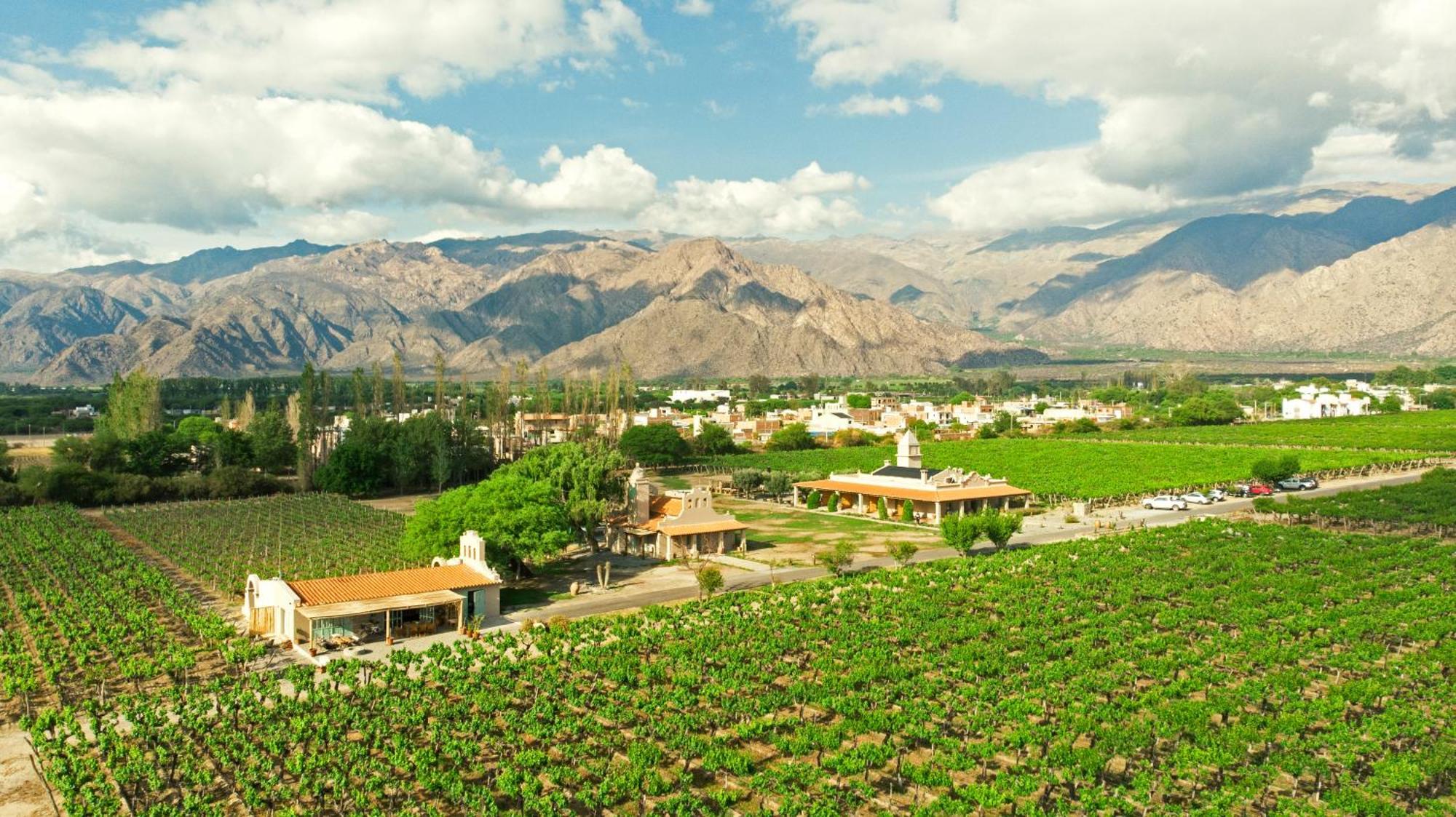 El Porvenir Wine Lodge Cafayate Esterno foto
