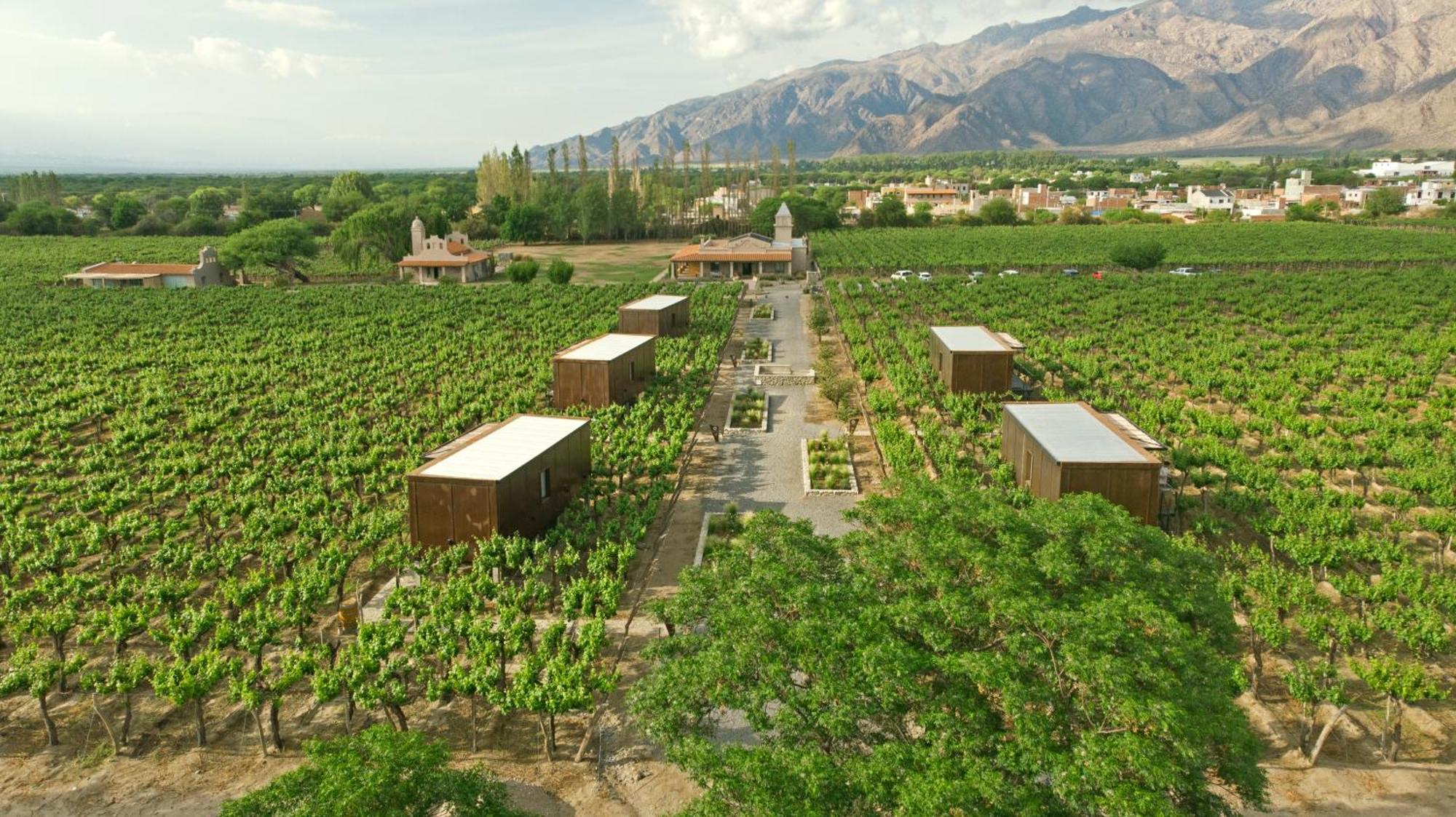 El Porvenir Wine Lodge Cafayate Esterno foto