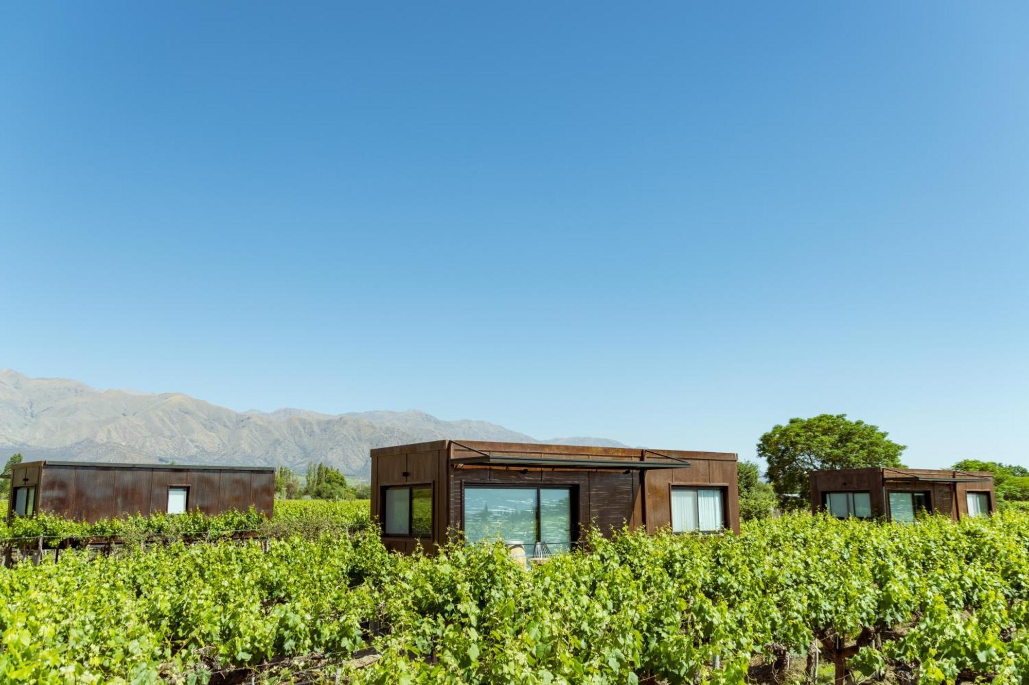 El Porvenir Wine Lodge Cafayate Esterno foto