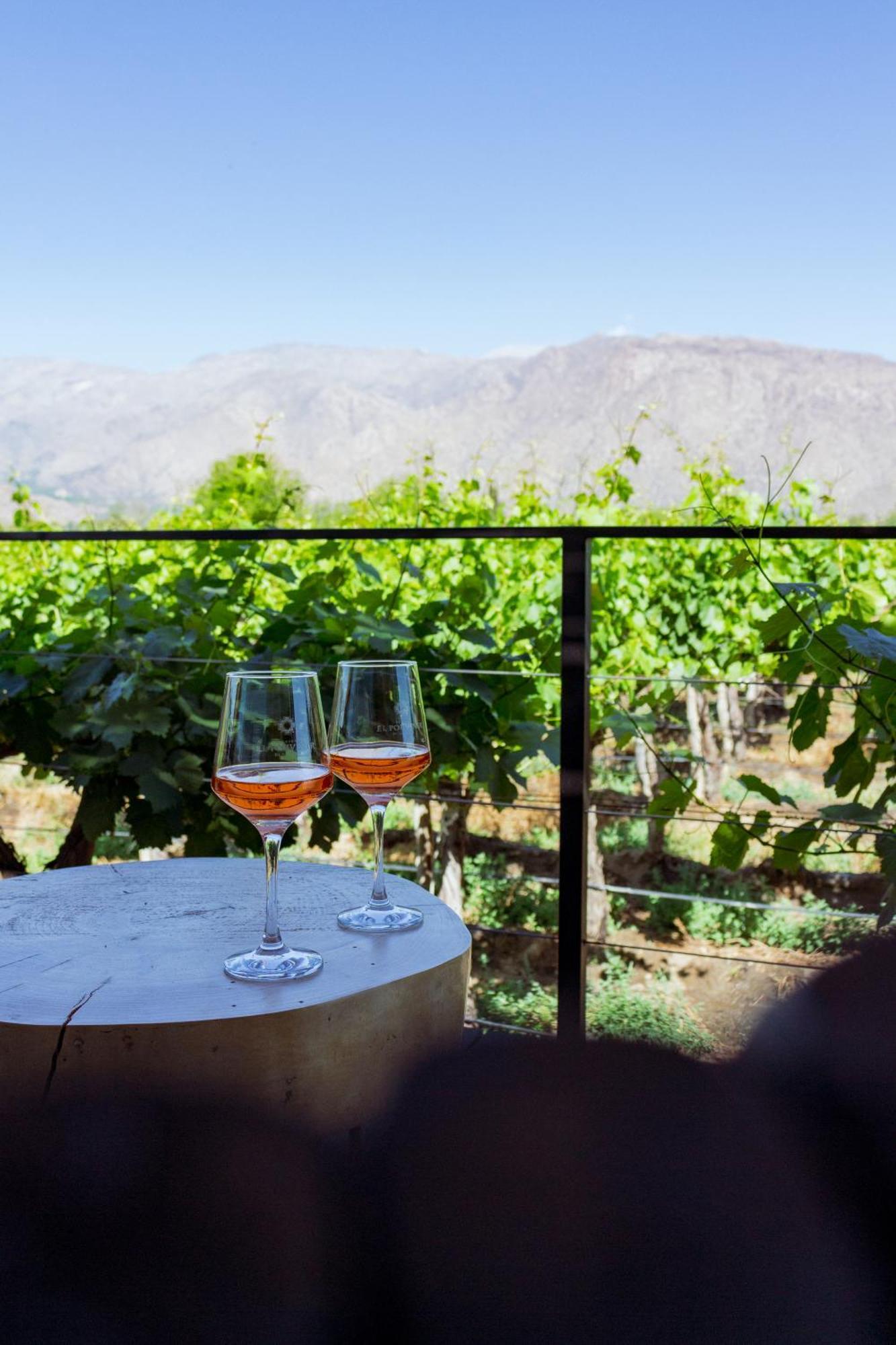 El Porvenir Wine Lodge Cafayate Esterno foto