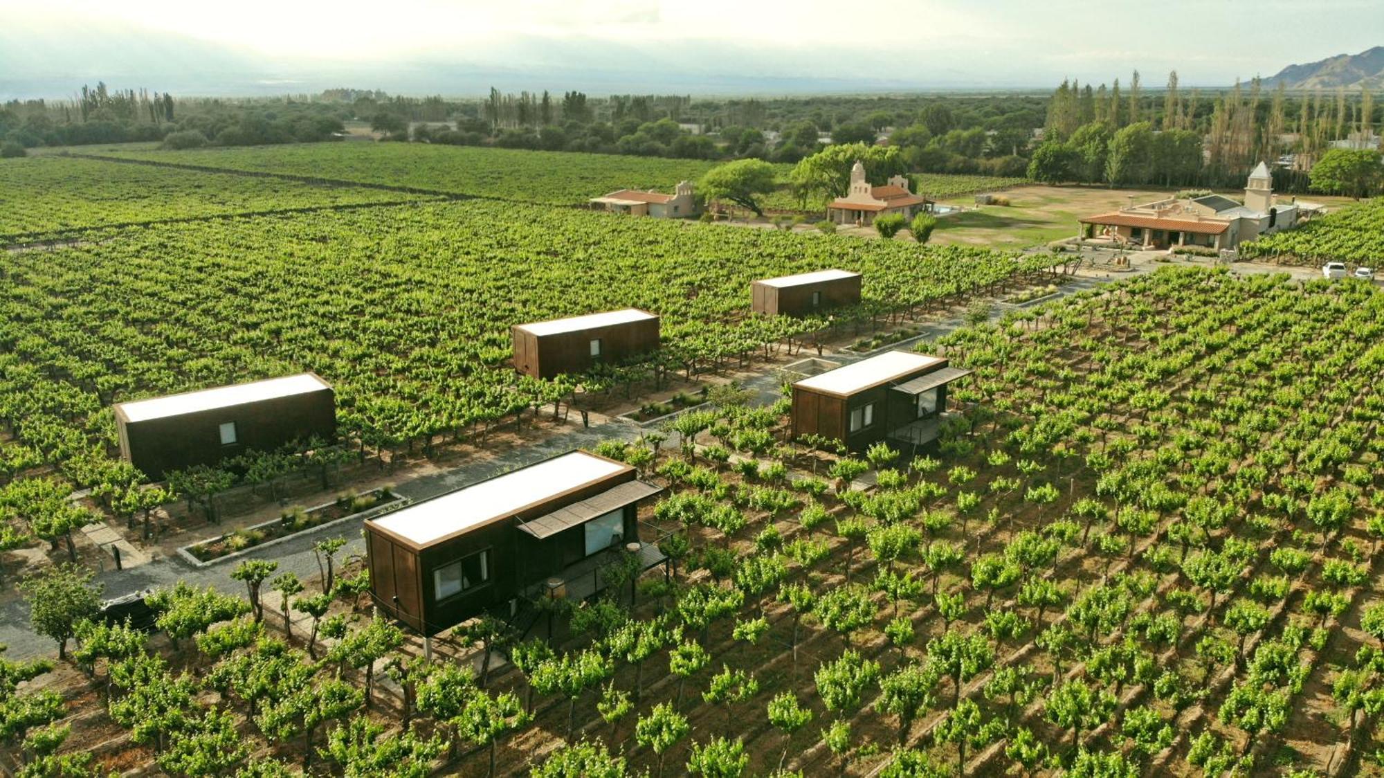 El Porvenir Wine Lodge Cafayate Esterno foto