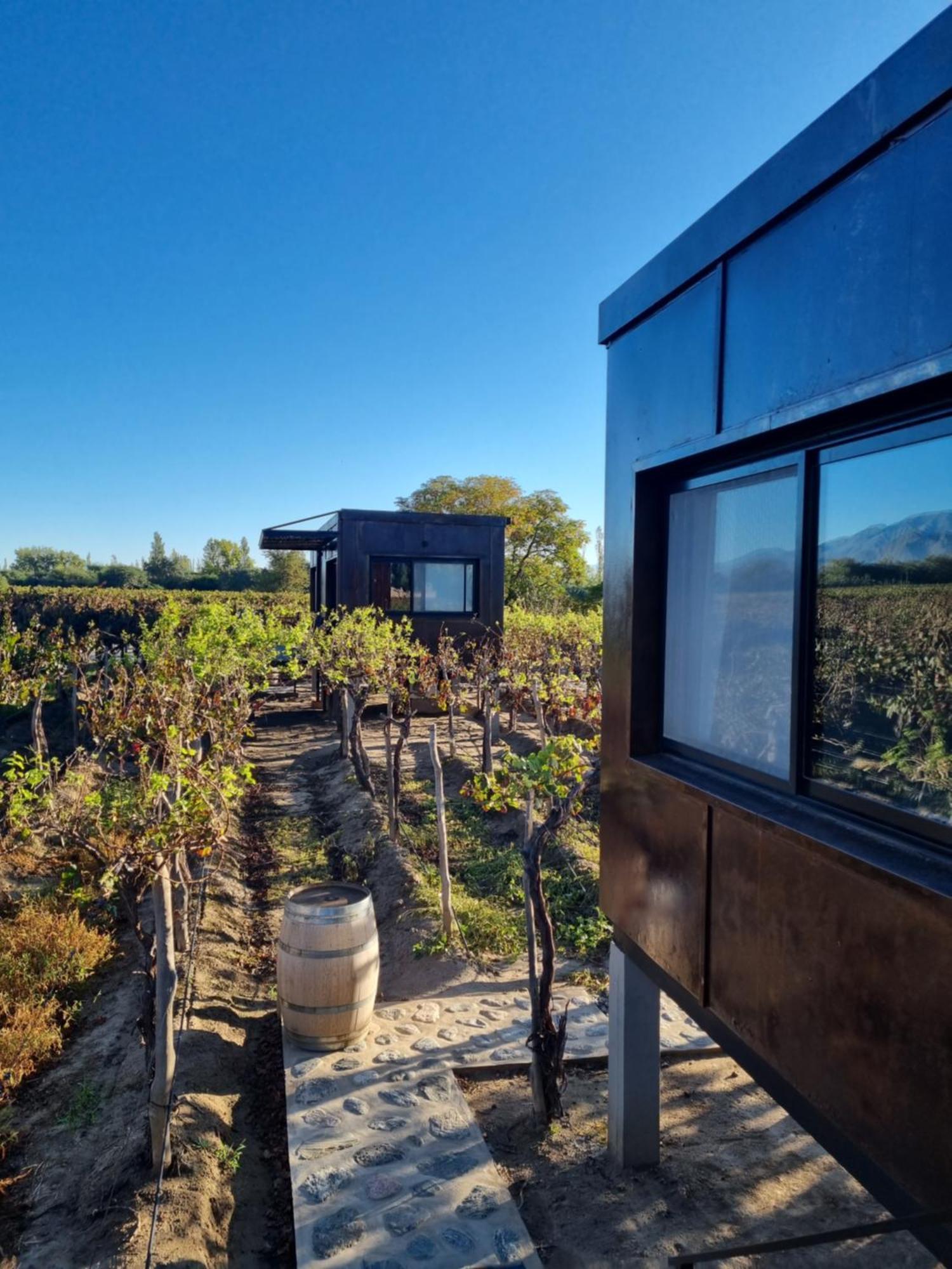 El Porvenir Wine Lodge Cafayate Esterno foto